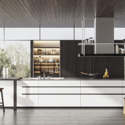 Custom Kitchen Cabinets for Modern Homes & Apartments