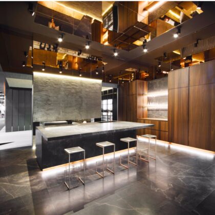 Designer Kitchen Cabinet System | Harmonized Living Space | GalaxyHome